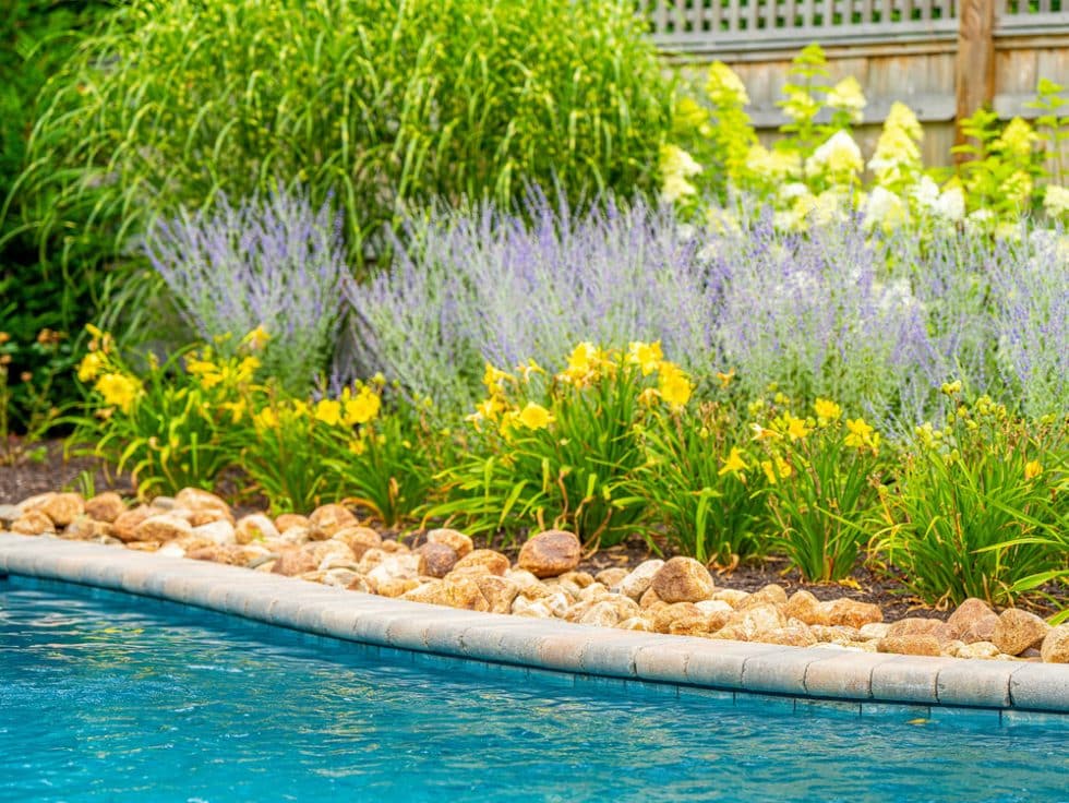 056 Custom Gunite Pools